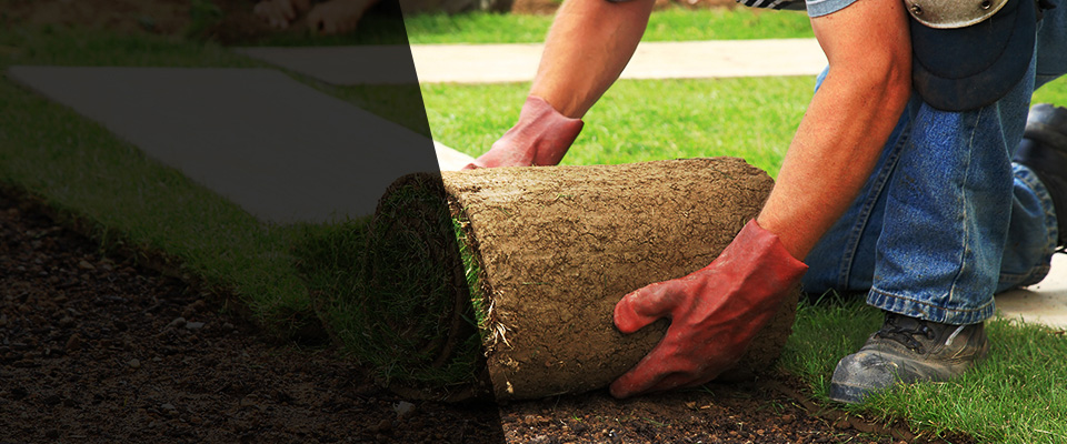 Augusta Landscapers
